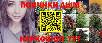 стаф Чебоксары