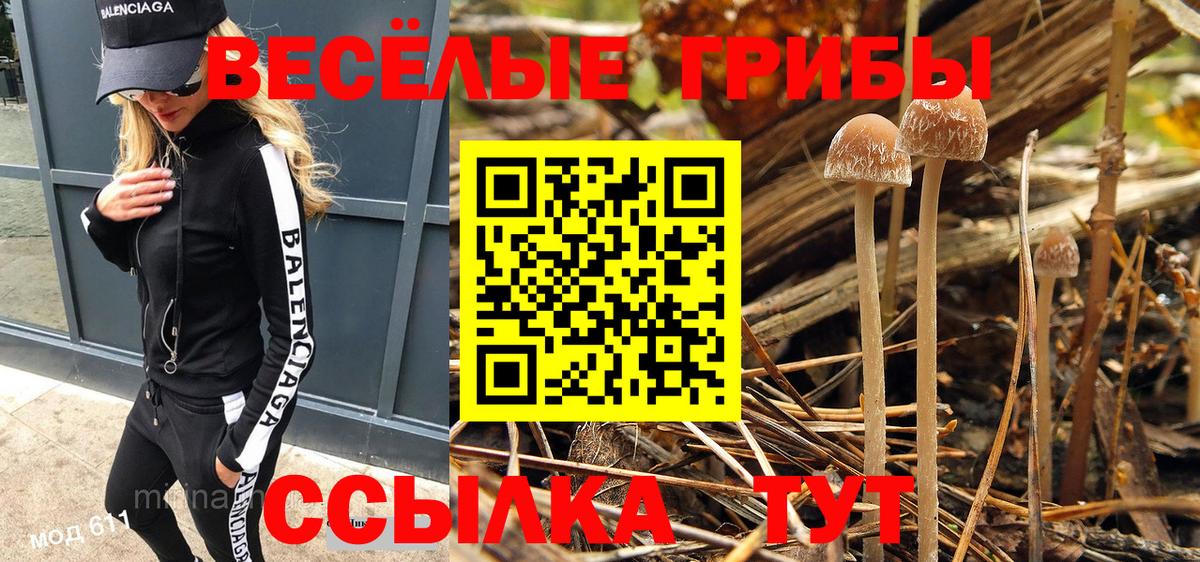 Галлюциногенные грибы мицелий Сокол