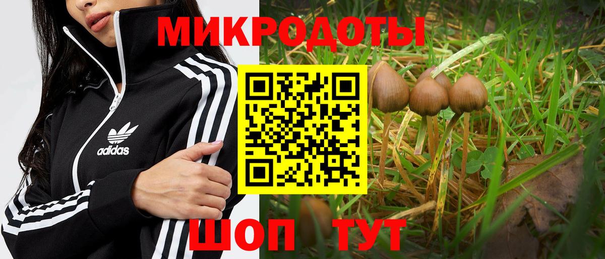 Сокол  Галлюциногенные грибы прущие грибы  Вход с VPN  Псилоцибиновые грибы GOLDEN TEACHER 